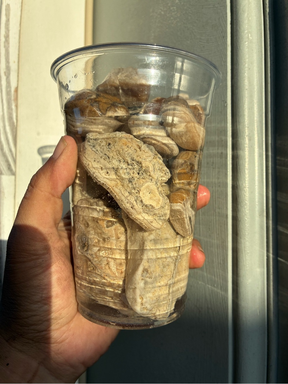1.4 lbs of Naturally Sea Tumbled rocks #stones #minerals - Picture 11 of 15